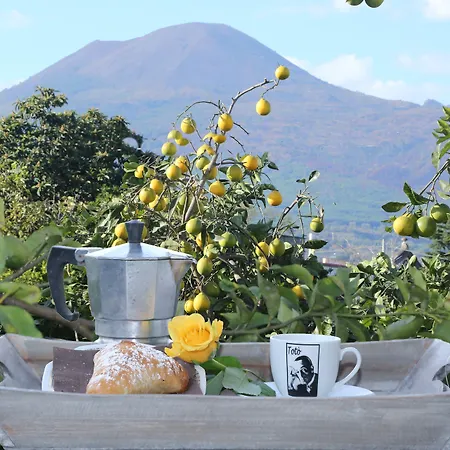 Bed & Breakfast Maison Blanche 4*