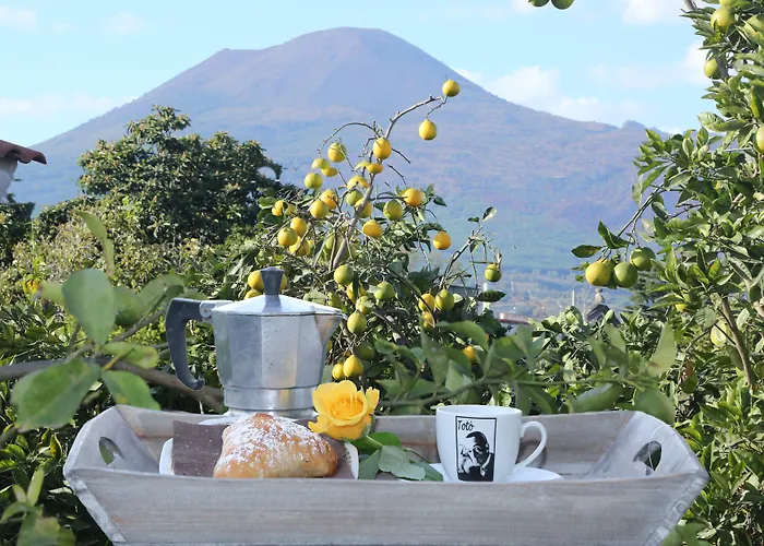 Bed & Breakfast Maison Blanche 4*